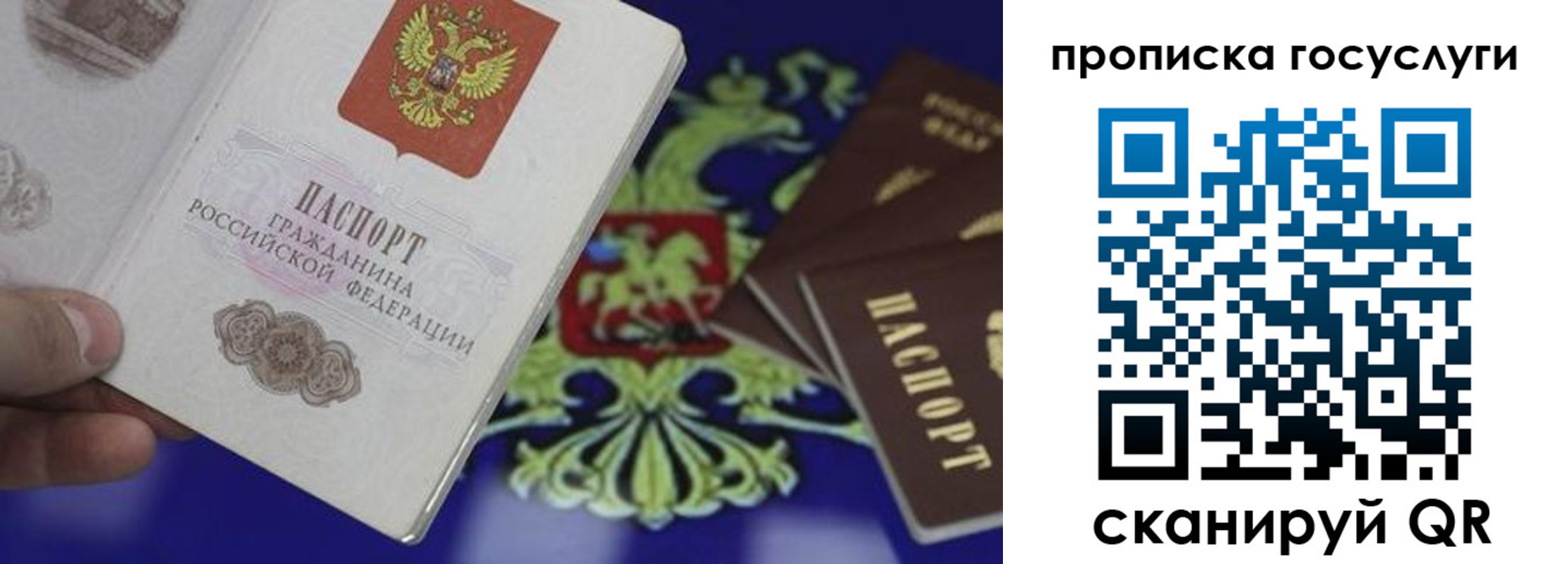 прописка для школы в Белоозёрском